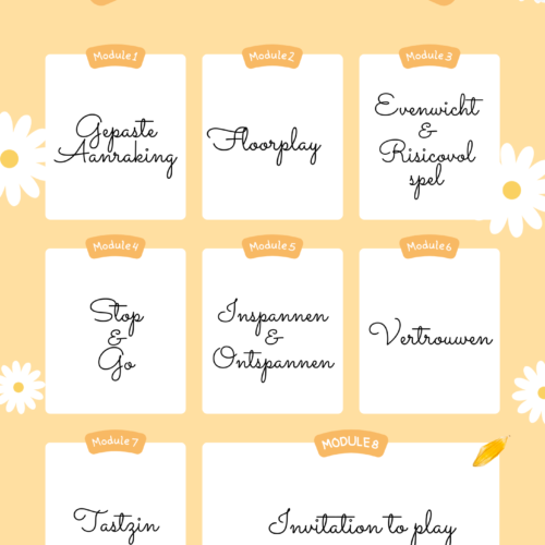 Cursus Verbindend Spelen