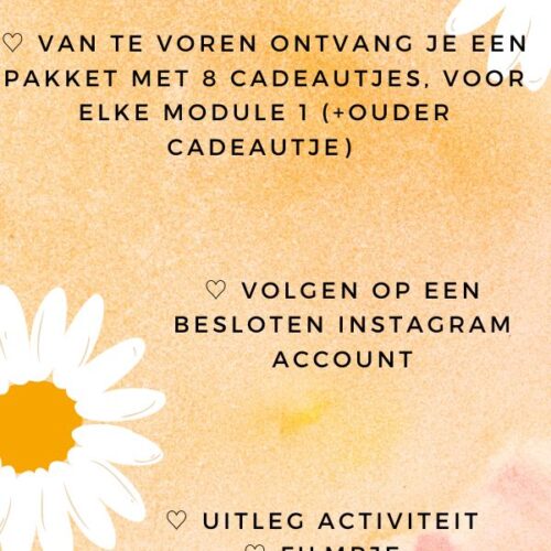 Cursus Verbindend Spelen